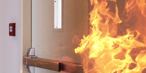 image_Webinair_Anpi2